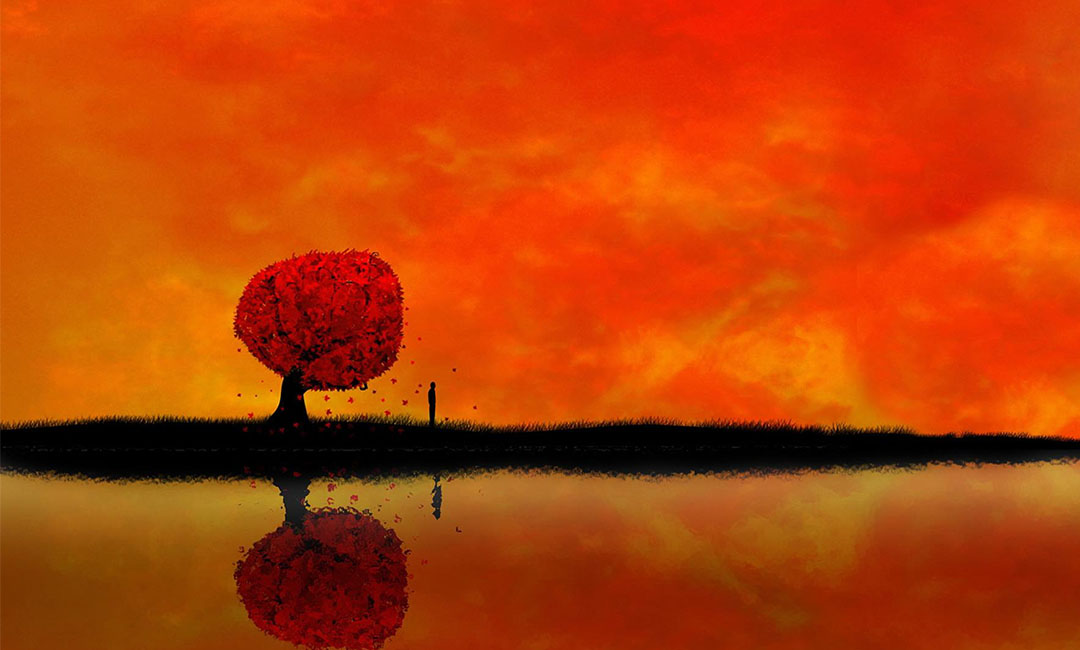 福建笙影微信朋友圈转发案例