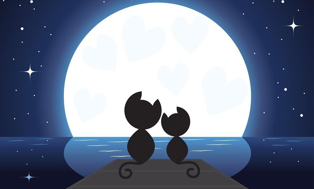 福建潮客汇微信活动策划案例